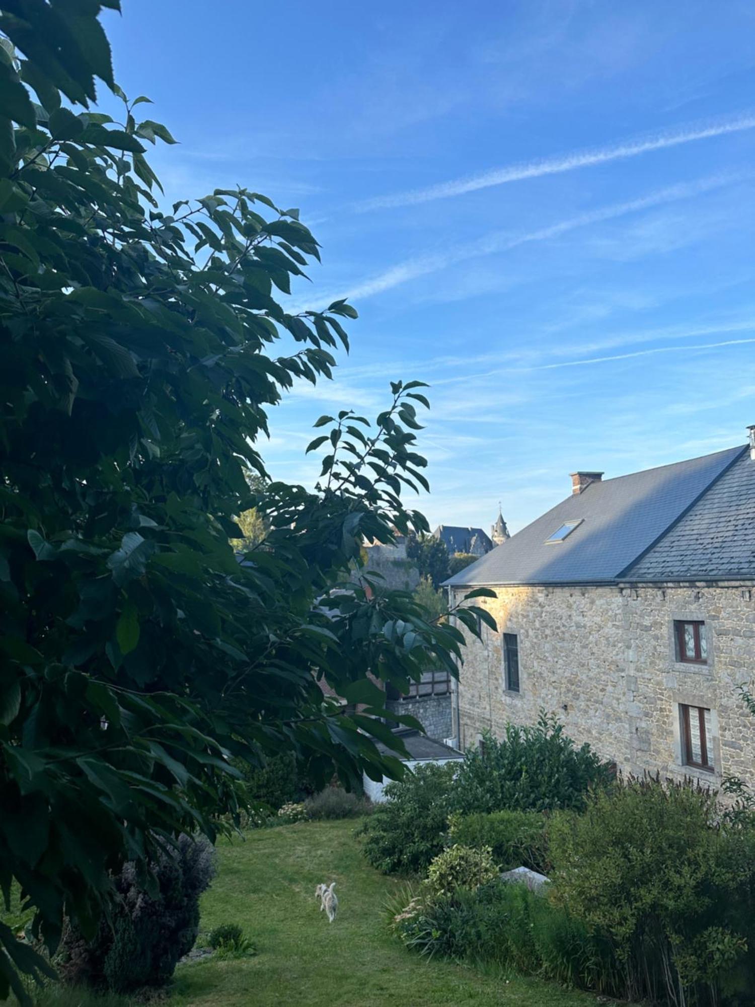 Maison Comtale Рошфор Экстерьер фото
